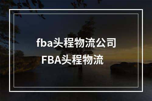 fba头程物流公司  FBA头程物流