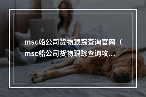 msc船公司货物跟踪查询官网（msc船公司货物跟踪查询攻略）