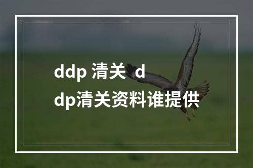 ddp 清关  ddp清关资料谁提供