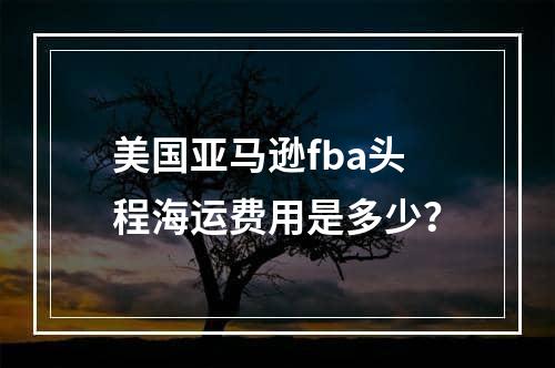 美国亚马逊fba头程海运费用是多少？