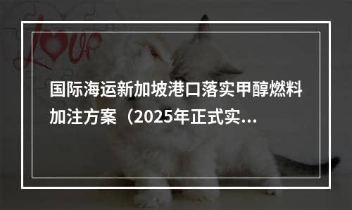 国际海运新加坡港口落实甲醇燃料加注方案（2025年正式实施）