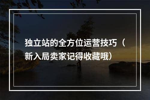 独立站的全方位运营技巧（新入局卖家记得收藏哦）