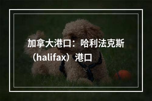 加拿大港口：哈利法克斯（halifax）港口