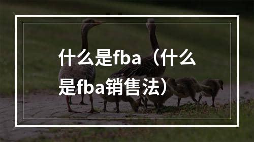 什么是fba（什么是fba销售法）