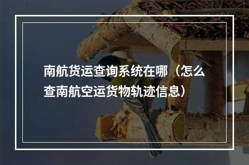 南航货运查询系统在哪（怎么查南航空运货物轨迹信息）