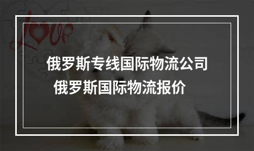 俄罗斯专线国际物流公司  俄罗斯国际物流报价