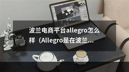 波兰电商平台allegro怎么样（Allegro是在波兰受欢迎的电商平台）