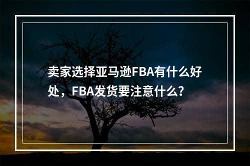 卖家选择亚马逊FBA有什么好处，FBA发货要注意什么？