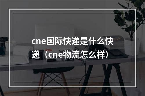 cne国际快递是什么快递（cne物流怎么样）