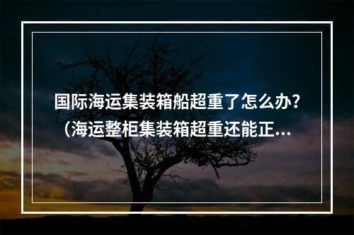 国际海运集装箱船超重了怎么办？（海运整柜集装箱超重还能正常出吗）