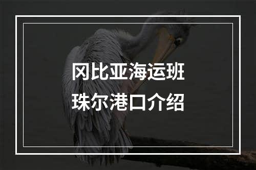 冈比亚海运班珠尔港口介绍