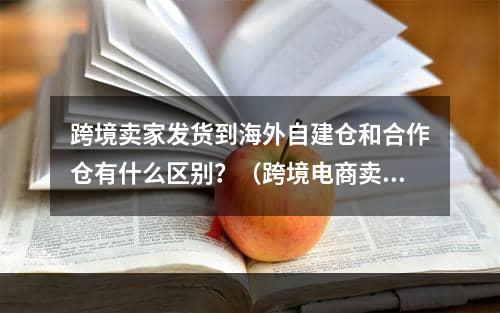 跨境卖家发货到海外自建仓和合作仓有什么区别？（跨境电商卖家如何发货）