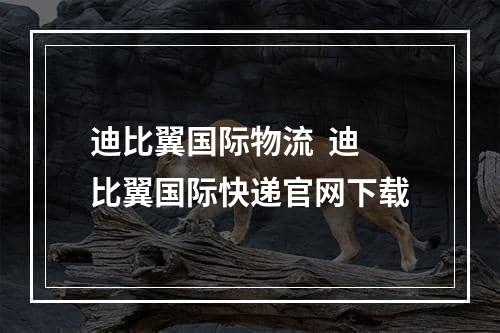 迪比翼国际物流  迪比翼国际快递官网下载