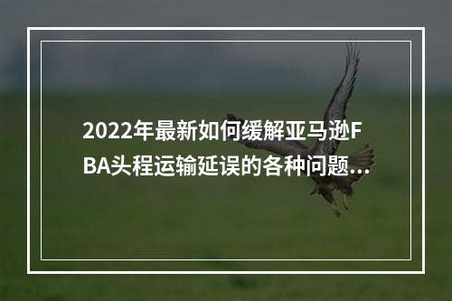 2022年最新如何缓解亚马逊FBA头程运输延误的各种问题-