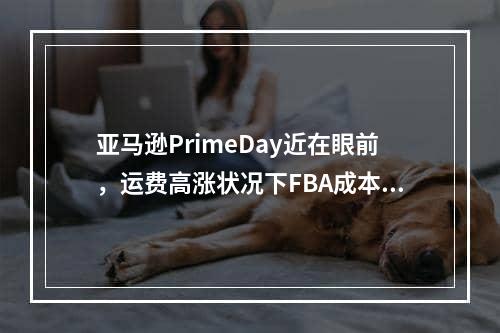 亚马逊PrimeDay近在眼前，运费高涨状况下FBA成本要怎样改进