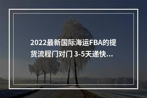 2022最新国际海运FBA的提货流程门对门 3-5天递快递