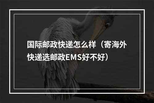 国际邮政快递怎么样（寄海外快递选邮政EMS好不好）