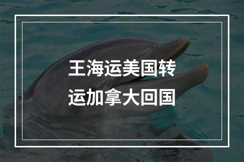 王海运美国转运加拿大回国