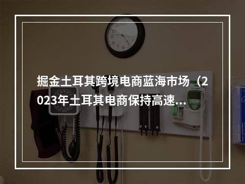 掘金土耳其跨境电商蓝海市场（2023年土耳其电商保持高速增长）