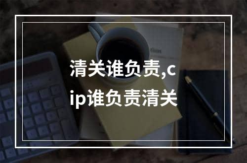 清关谁负责,cip谁负责清关