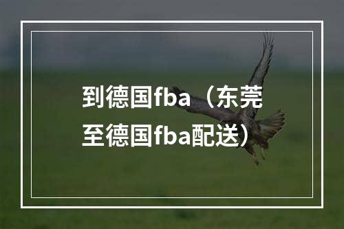 到德国fba（东莞至德国fba配送）