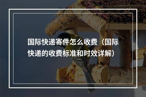 国际快递寄件怎么收费（国际快递的收费标准和时效详解）