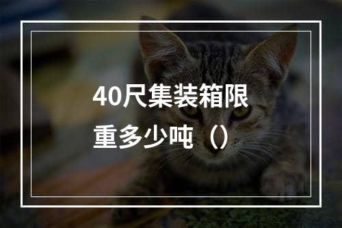 40尺集装箱限重多少吨（）