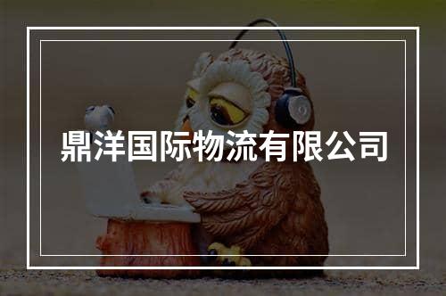 鼎洋国际物流有限公司