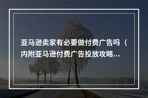 亚马逊卖家有必要做付费广告吗（内附亚马逊付费广告投放攻略）