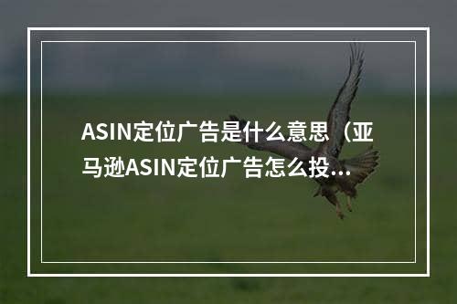 ASIN定位广告是什么意思（亚马逊ASIN定位广告怎么投）