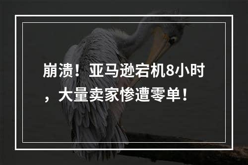 崩溃！亚马逊宕机8小时，大量卖家惨遭零单！