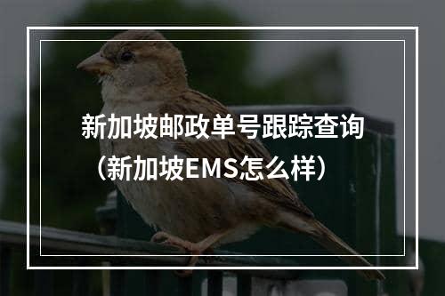 新加坡邮政单号跟踪查询（新加坡EMS怎么样）