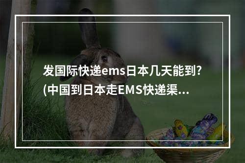 发国际快递ems日本几天能到?(中国到日本走EMS快递渠道的时效是多少?)