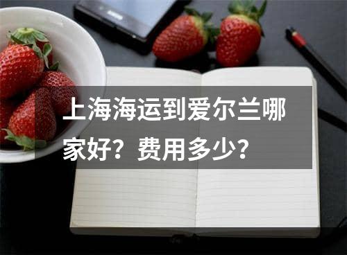 上海海运到爱尔兰哪家好？费用多少？