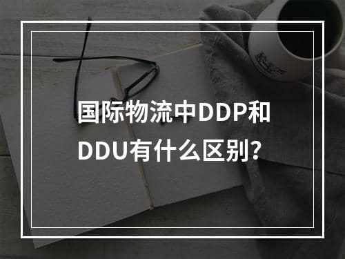 国际物流中DDP和DDU有什么区别？