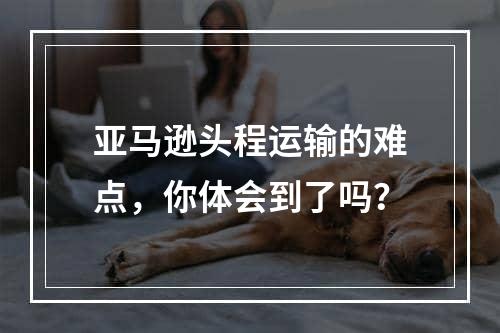 亚马逊头程运输的难点，你体会到了吗？