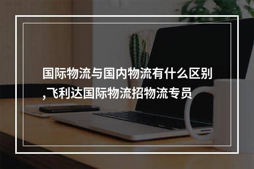 国际物流与国内物流有什么区别,飞利达国际物流招物流专员