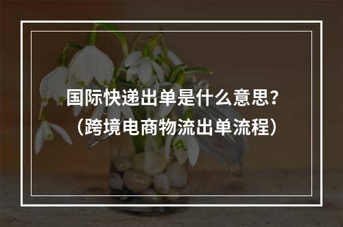 国际快递出单是什么意思？（跨境电商物流出单流程）