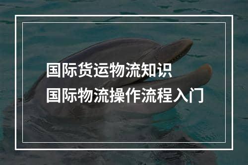 国际货运物流知识  国际物流操作流程入门