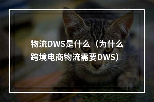 物流DWS是什么（为什么跨境电商物流需要DWS）