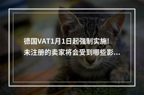 德国VAT1月1日起强制实施!未注册的卖家将会受到哪些影响,未注册德国vat店铺