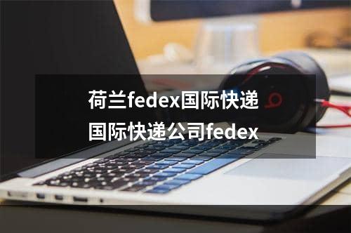 荷兰fedex国际快递 国际快递公司fedex