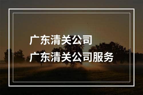 广东清关公司  广东清关公司服务