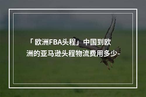 「 欧洲FBA头程」中国到欧洲的亚马逊头程物流费用多少-