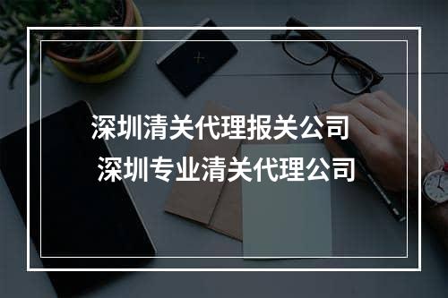 深圳清关代理报关公司  深圳专业清关代理公司