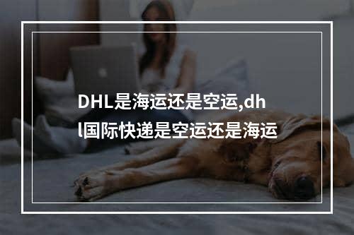 DHL是海运还是空运,dhl国际快递是空运还是海运