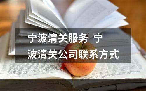 宁波清关服务  宁波清关公司联系方式