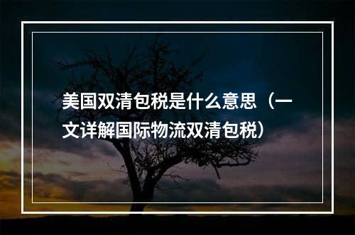 美国双清包税是什么意思（一文详解国际物流双清包税）