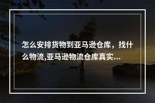 怎么安排货物到亚马逊仓库，找什么物流,亚马逊物流仓库真实视频