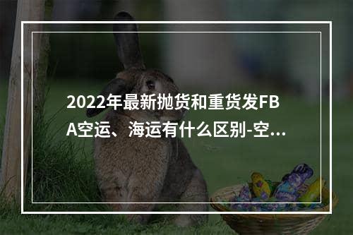 2022年最新抛货和重货发FBA空运、海运有什么区别-空运海运计算方法